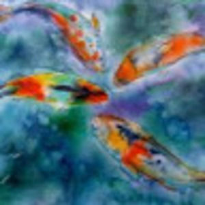 Meet your Posher, Bruce